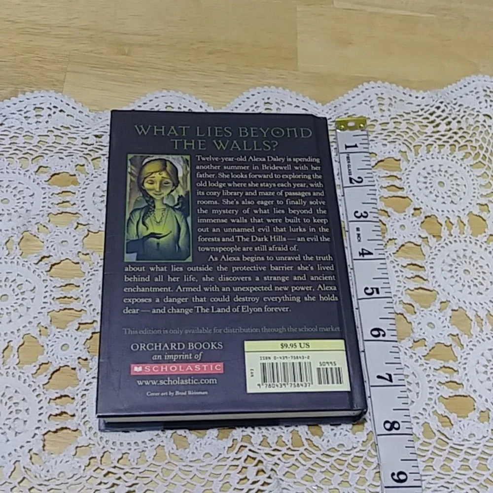 Book Sale! 3 for $10! Middle Grade Mystery - The Dark Hills Divide, bk 1